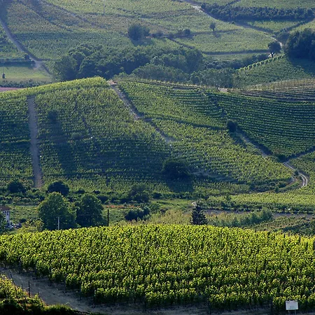 Langhe