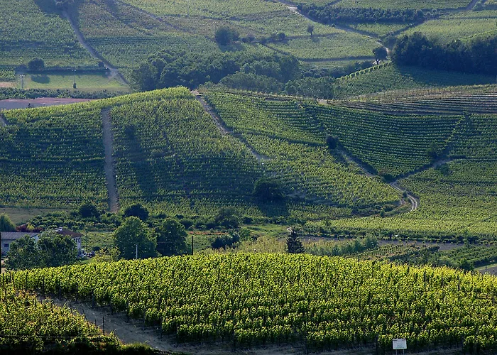 Langhe